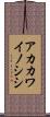 アカカワイノシシ Scroll