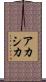 アカシカ Scroll
