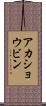 アカショウビン Scroll