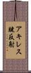 アキレス腱反射 Scroll