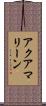 アクアマリーン Scroll
