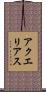 アクエリアス Scroll