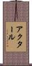 Akhtar Scroll