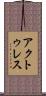 アクトゥレス Scroll