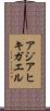 アジアヒキガエル Scroll