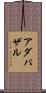 アダパザル Scroll