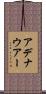 アデナウアー Scroll