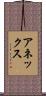アネックス Scroll