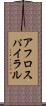 アフロスパイラル Scroll