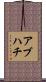 アブハチ Scroll