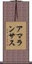 アマランサス Scroll