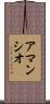 Amancio Scroll