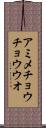 アミメチョウチョウウオ Scroll