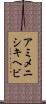 アミメニシキヘビ Scroll