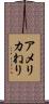 アメリカねり Scroll
