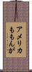 アメリカももんが Scroll