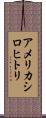 アメリカシロヒトリ Scroll