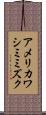アメリカワシミミズク Scroll