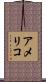 Americo Scroll