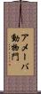 アメーバ動物門 Scroll