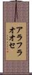 アラフラオオセ Scroll