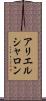 アリエルシャロン Scroll