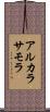 アルカラサモラ Scroll