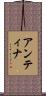 Antina Scroll