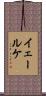 イェールケ Scroll