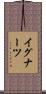 イグナーツ Scroll