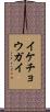 イケチョウガイ Scroll
