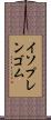 イソプレンゴム Scroll