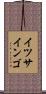 イツサインゴ Scroll
