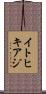 イトヒキアジ Scroll