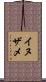 イヌザメ Scroll
