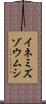 イネミズゾウムシ Scroll