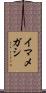 イマメガシ Scroll