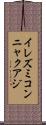 イレズミコンニャクアジ Scroll