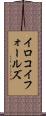 イロコイフォールズ Scroll