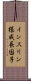 インスリン様成長因子 Scroll