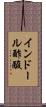 インドール酢酸 Scroll
