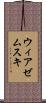 ウィアゼムスキ Scroll