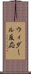 ウィダール反応 Scroll