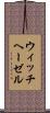 ウィッチヘーゼル Scroll