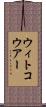 ウィトコウアー Scroll