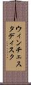 ウィンチェスタ・ディスク Scroll