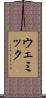 ウェミック Scroll