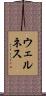 ウェルネス Scroll