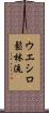 Ueshiro Shorin-Ryu / Ueshiro Matsubayashi-Ryu Scroll