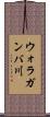 ウォラガンバ川 Scroll